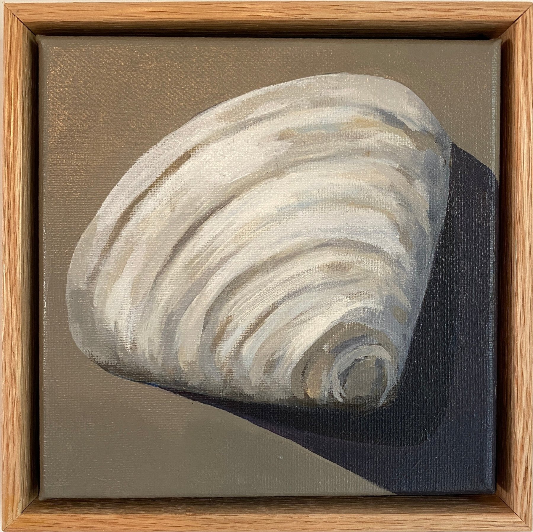 Clam Shell shown in the Coastal Entry