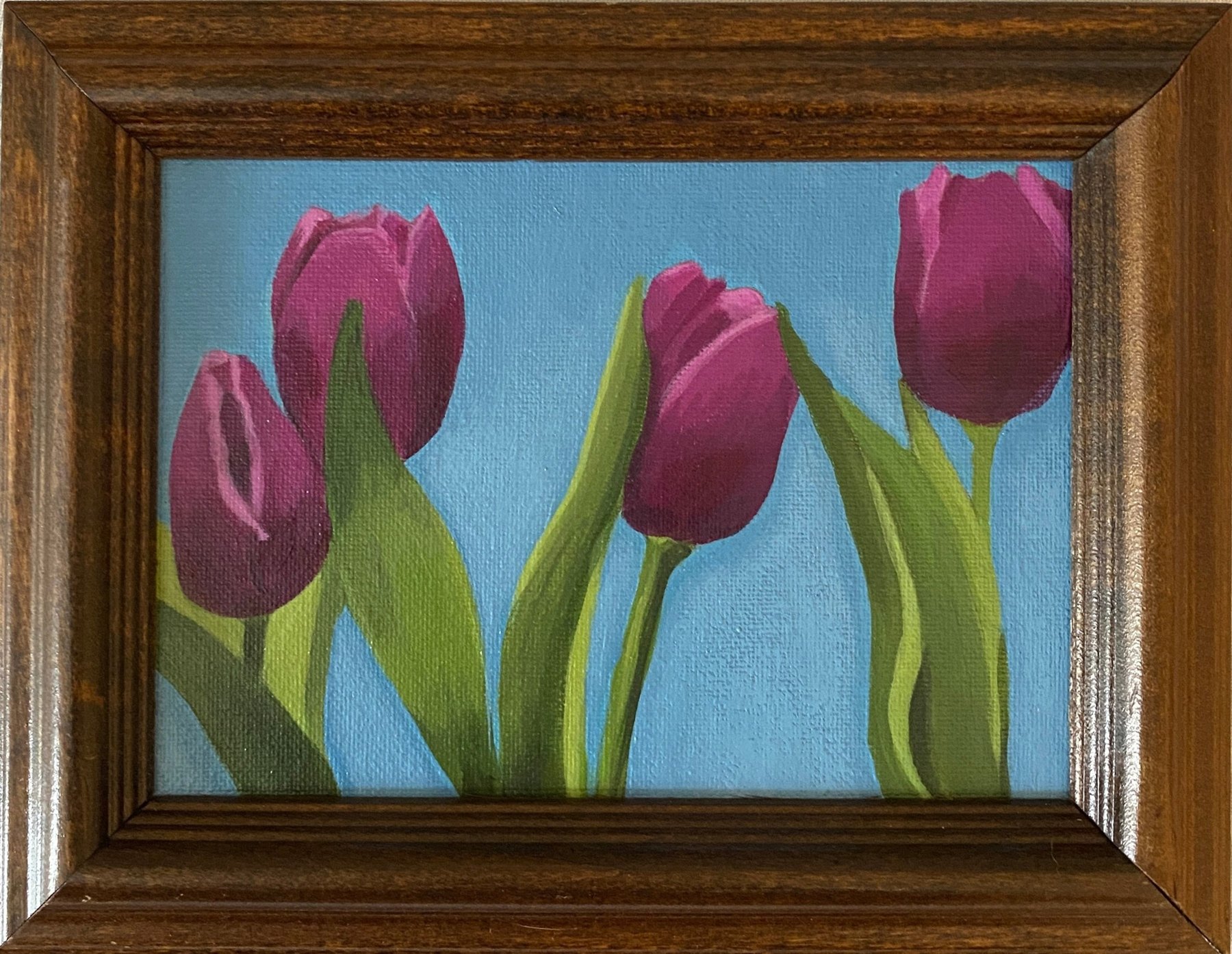 Tulips & the Blue Sky